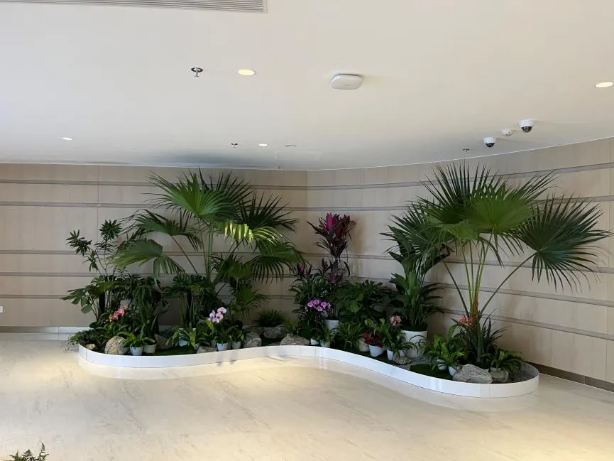 海曙花木出租设计，解锁空间美化新方式